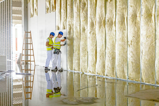 Types of Insulation We Offer in Venice, FL